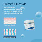 ROUND LAB - Birch Juice Moisturizing Cream [80ml] - Youglow